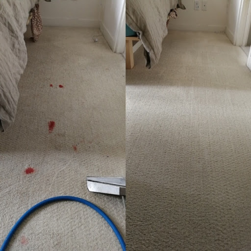 SmithWerks West Vancouver Carpet and Upholstery Cleaning, 213-1455 Bellevue Ave, West Vancouver, BC V7T 1C3