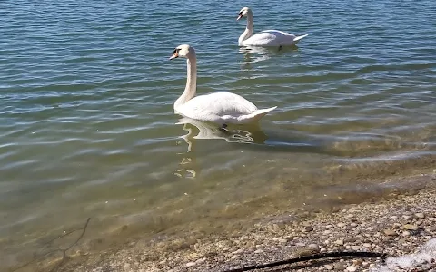 Jezero ježevo image