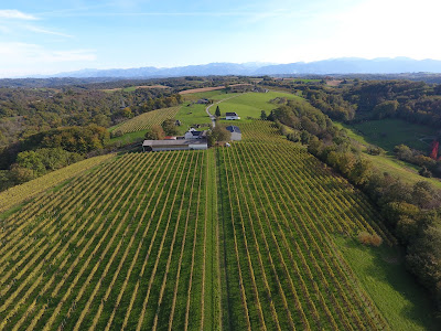 Domaine Montaut - Vins de Jurançon - Monein à Monein
