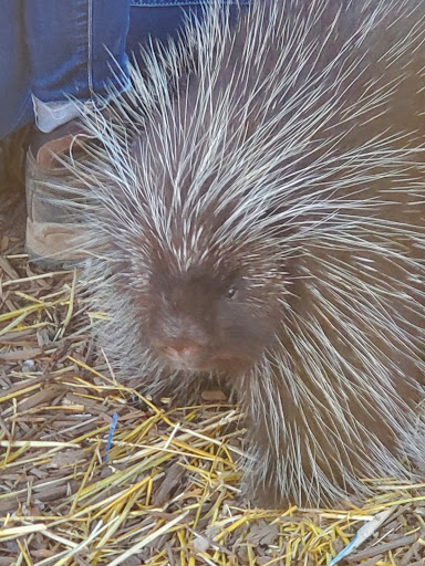 Wildlife Refuge «Big Run Wolf Ranch», reviews and photos, 14857 N Farrell Rd, Lockport, IL 60441, USA
