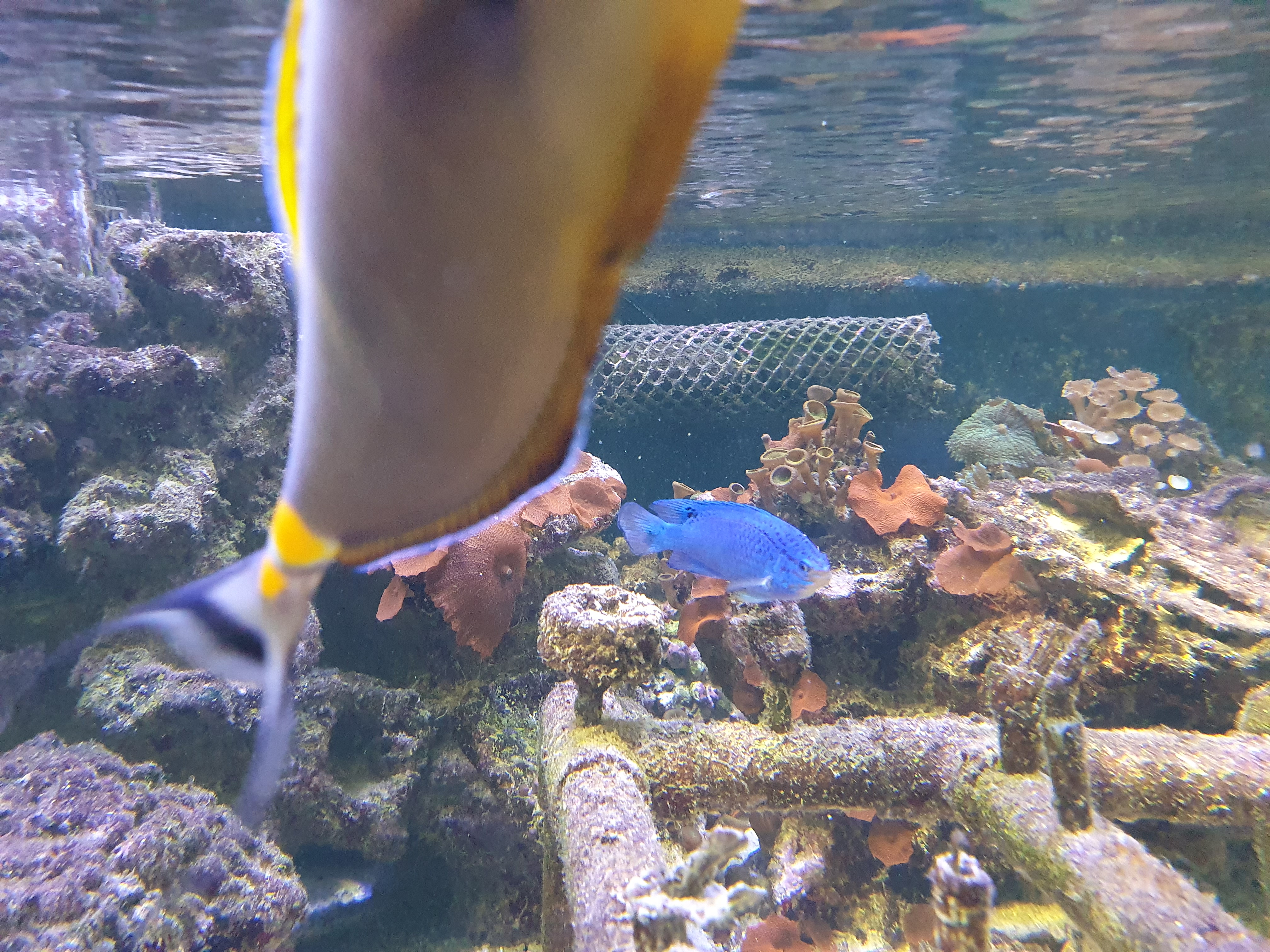 Photo n° 5 de l'avis de Laurent.r fait le 22/07/2023 à 09:50