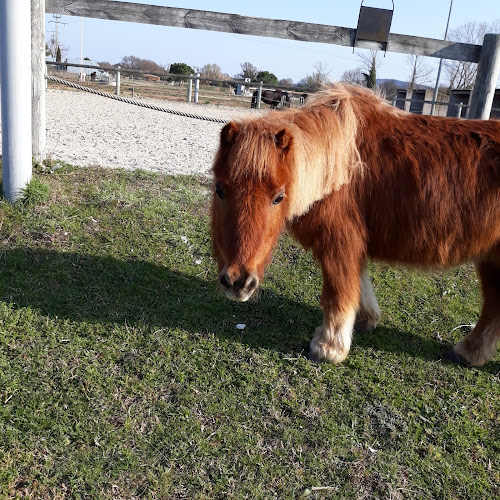 Sarl Centre Equestre Pachka à Saussan