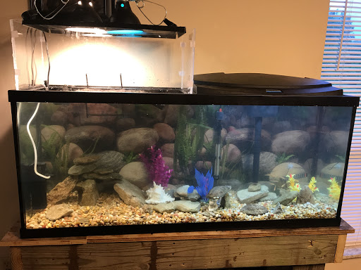 Pet Store «Pets Plus», reviews and photos, 5054 Old Taylor Mill Rd, Taylor Mill, KY 41015, USA