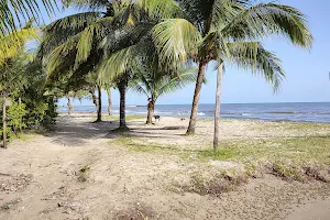 Playa Quehueche image