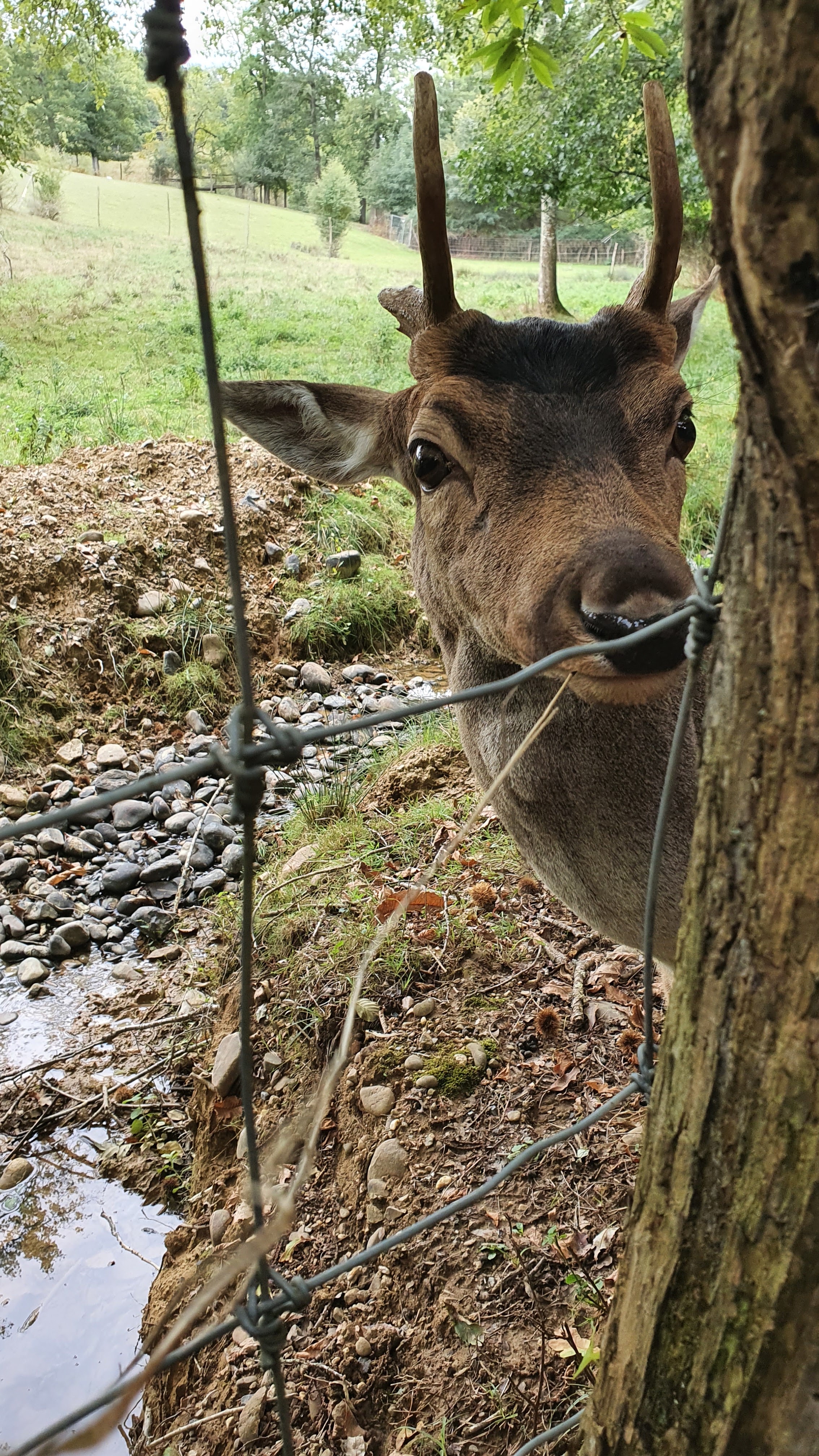 Photo n° 2 de l'avis de Carine.o fait le 29/09/2020 à 15:13