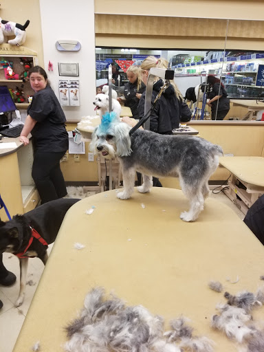 Pet Supply Store «PetSmart», reviews and photos, 278 New Britain Ave, Plainville, CT 06062, USA