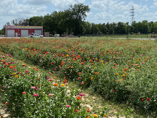 Froberg’s Farm Find Farm in Houston news