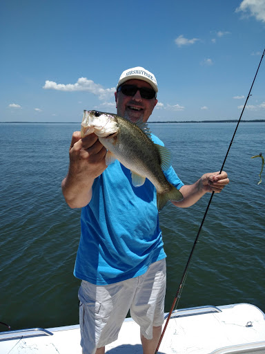 Golf Shop «Mission Inn Golf Pro Shop», reviews and photos, 10400 County Rd 48, Howey In Hills, FL 34737, USA