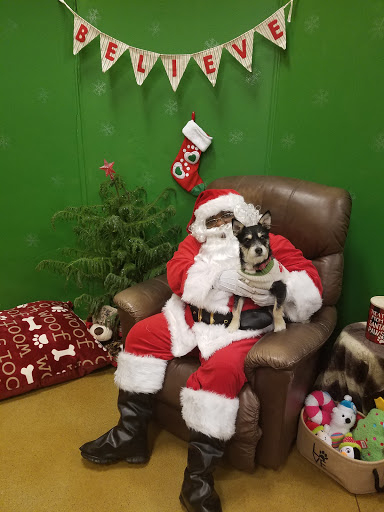 Pet Supply Store «PetSmart», reviews and photos, 5241 Monroe St, Toledo, OH 43623, USA