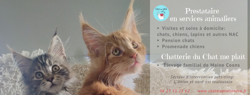 Chat me plaît & Co - Petsitting : garde & promenade animaux
