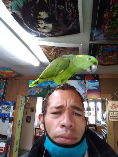 Boutique «Su Casa Boutique», reviews and photos, 1041 N Cedar St, Lansing, MI 48906, USA