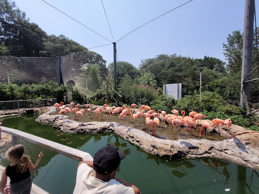 Zoo «Stone Zoo», reviews and photos, 149 Pond St, Stoneham, MA 02180, USA