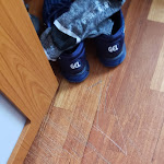 Photo n°1 de l'avis de Vinicius.a fait le 10/02/2019 à 12:28 sur le  Eurostars Lisboa Parque à Lisbon