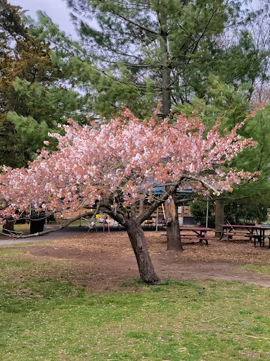 Park «Tanglewood Preserve», reviews and photos, 1 Tanglewood Rd, Rockville Centre, NY 11570, USA