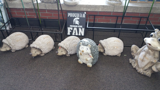 Hardware Store «Great Lakes Ace Hardware», reviews and photos, 15819 Southfield Rd, Allen Park, MI 48101, USA