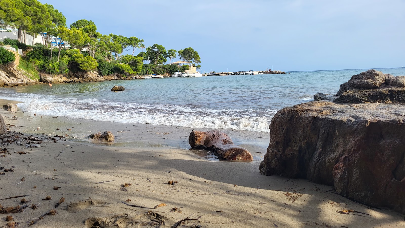 Foto di Cala des Rajoli con molto pulita livello di pulizia
