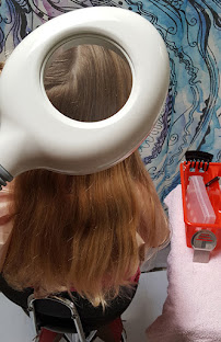 Vanilla Lice - Lice Treatment Services - Photo 8 - Car repair in , Chula Vista