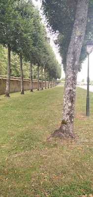 Parking à Savigny-lès-Beaune