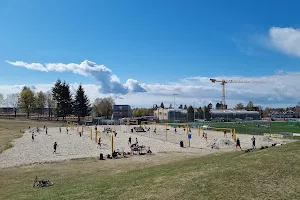 Oslo Beach volleyball club image