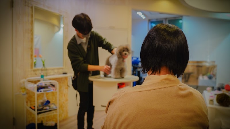 Dog Salon ORUNA