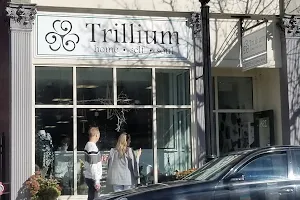 Trillium image