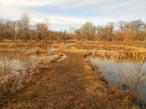 National Park «Kenilworth Park», reviews and photos, 1505 Ancostia Ave NE, Washington, DC 20019, USA