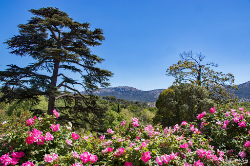 Parc de la Buzine