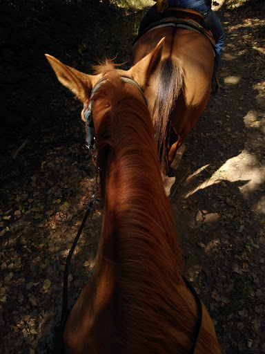 Park «Anderson River Park», reviews and photos