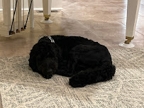 Waterdance Dog- Harrison - Photo 9 - Car repair in Harrison, TN, Chattanooga