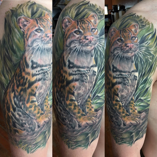 Tattoo Shop «Moth Studio», reviews and photos, 428 W Commercial St, Springfield, MO 65803, USA