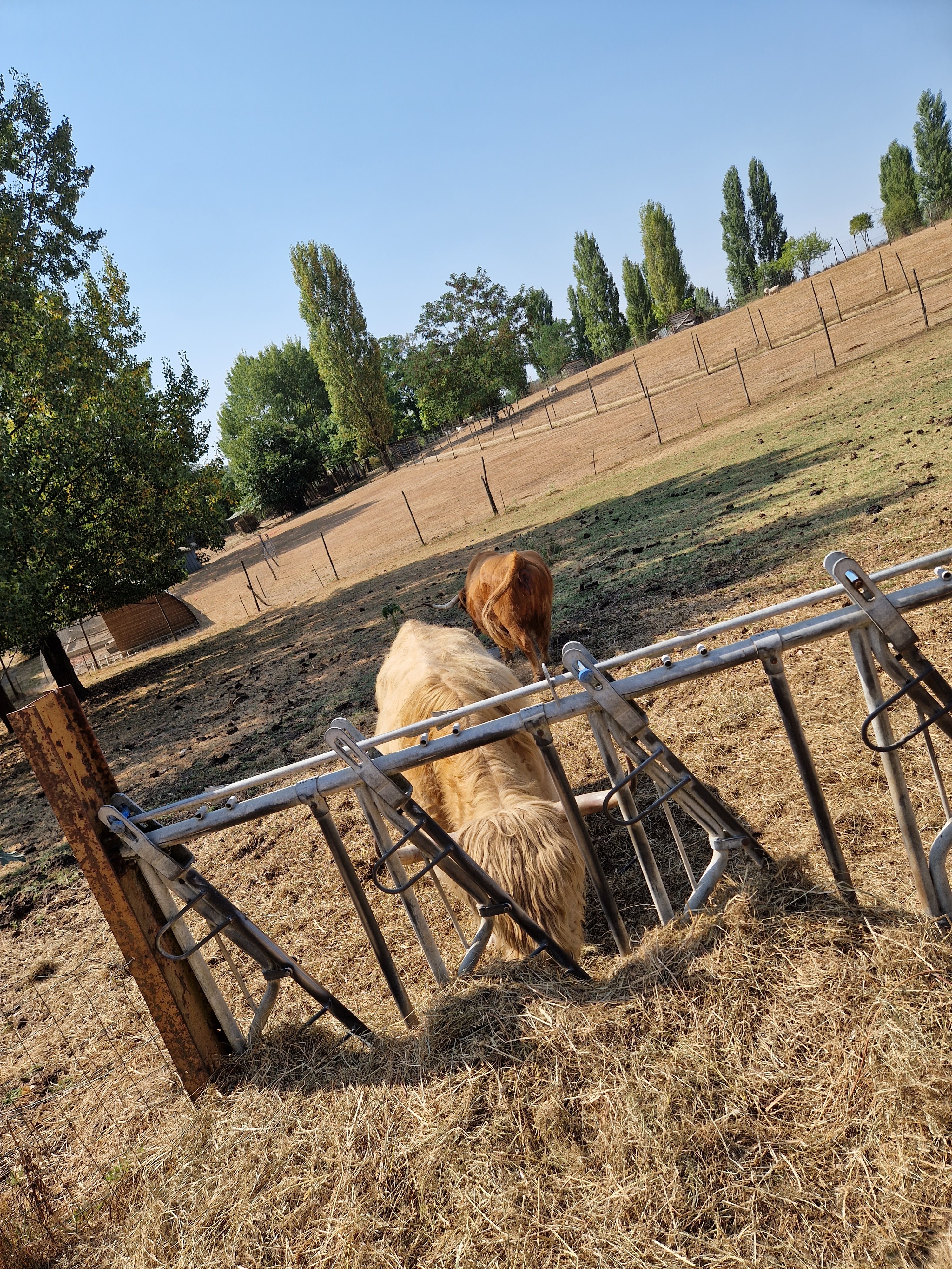 Photo n° 4 de l'avis de Melanie.e fait le 22/08/2022 à 15:24