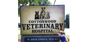 Cottonwood Veterinary Hospital