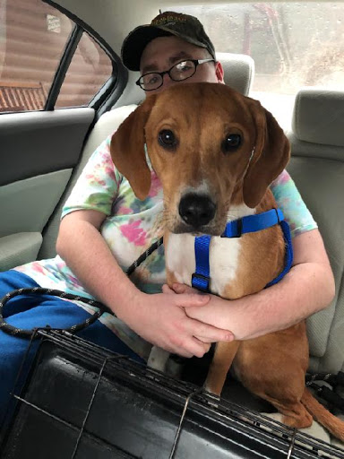 Pet Supply Store «PetSmart», reviews and photos, 150 Bleachery Blvd, Asheville, NC 28805, USA