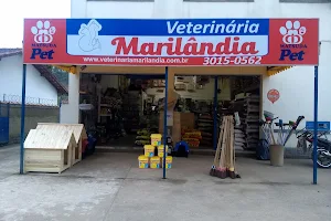 Veterinária Marilândia image
