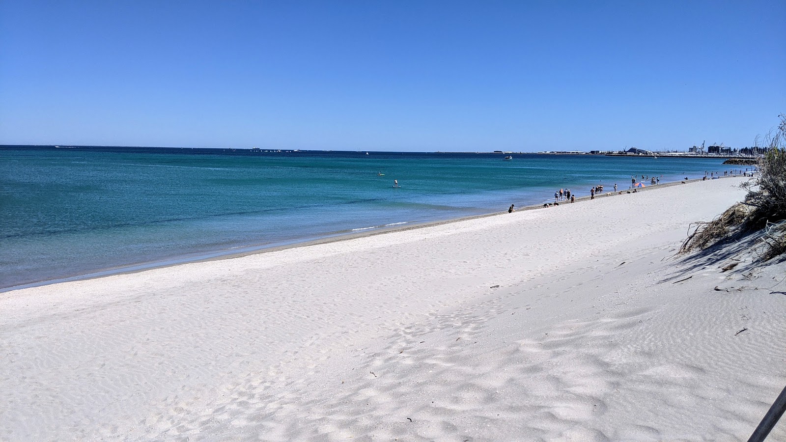 North Coogee Dog Beach的照片 带有明亮的沙子表面