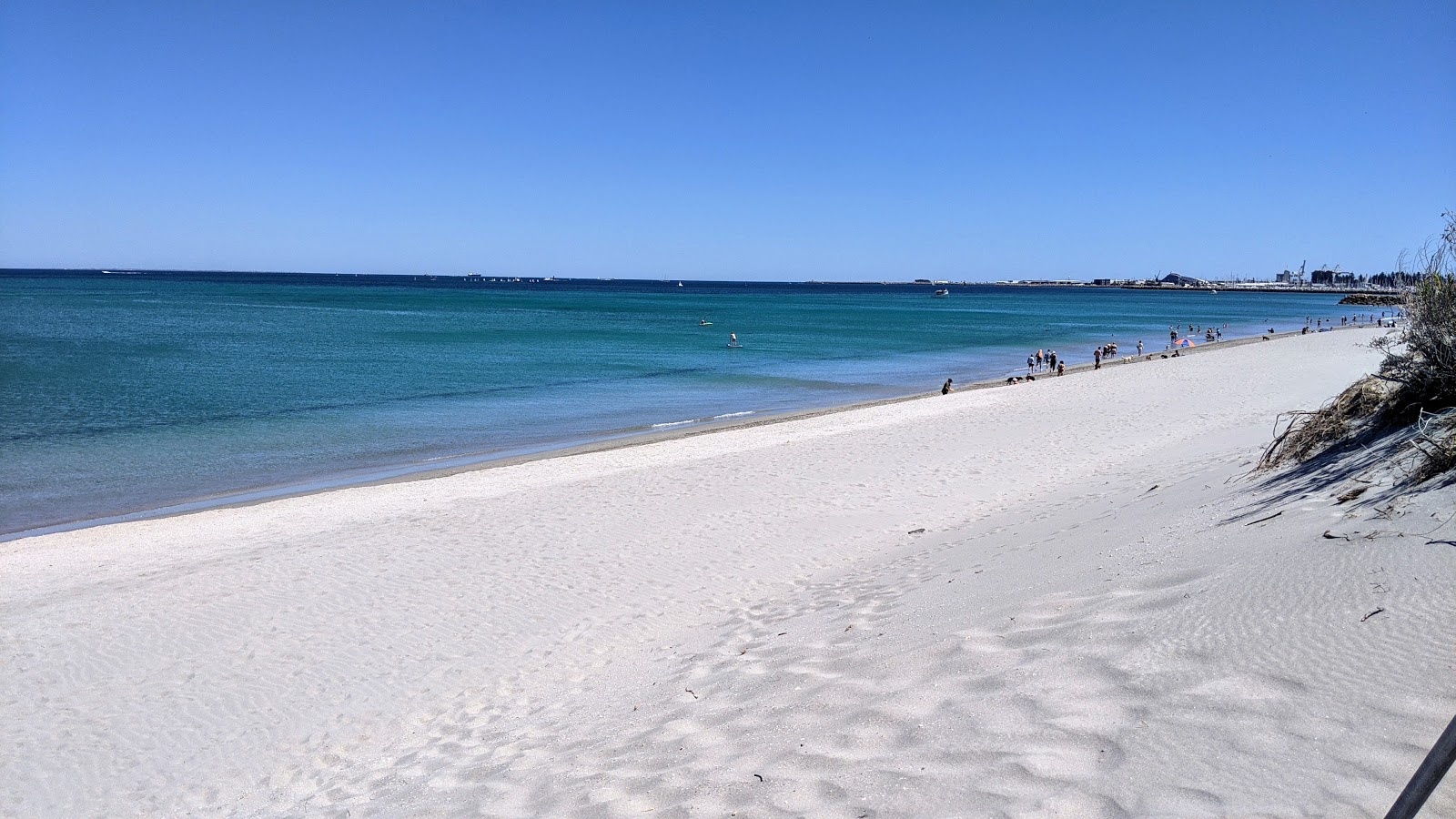 Foto von North Coogee Dog Beach mit beiger sand Oberfläche