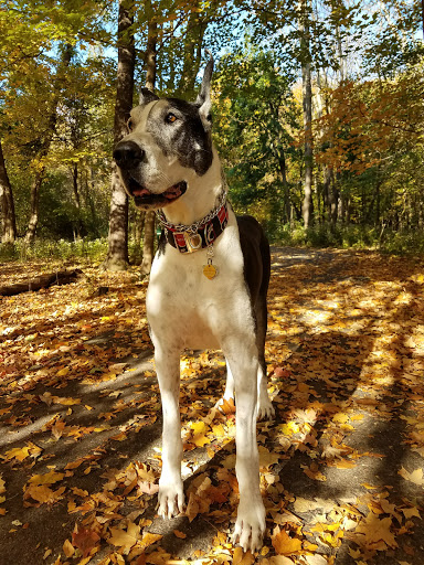 Park «Pioneer Park», reviews and photos, 10505 Deerfield Rd, Montgomery, OH 45242, USA