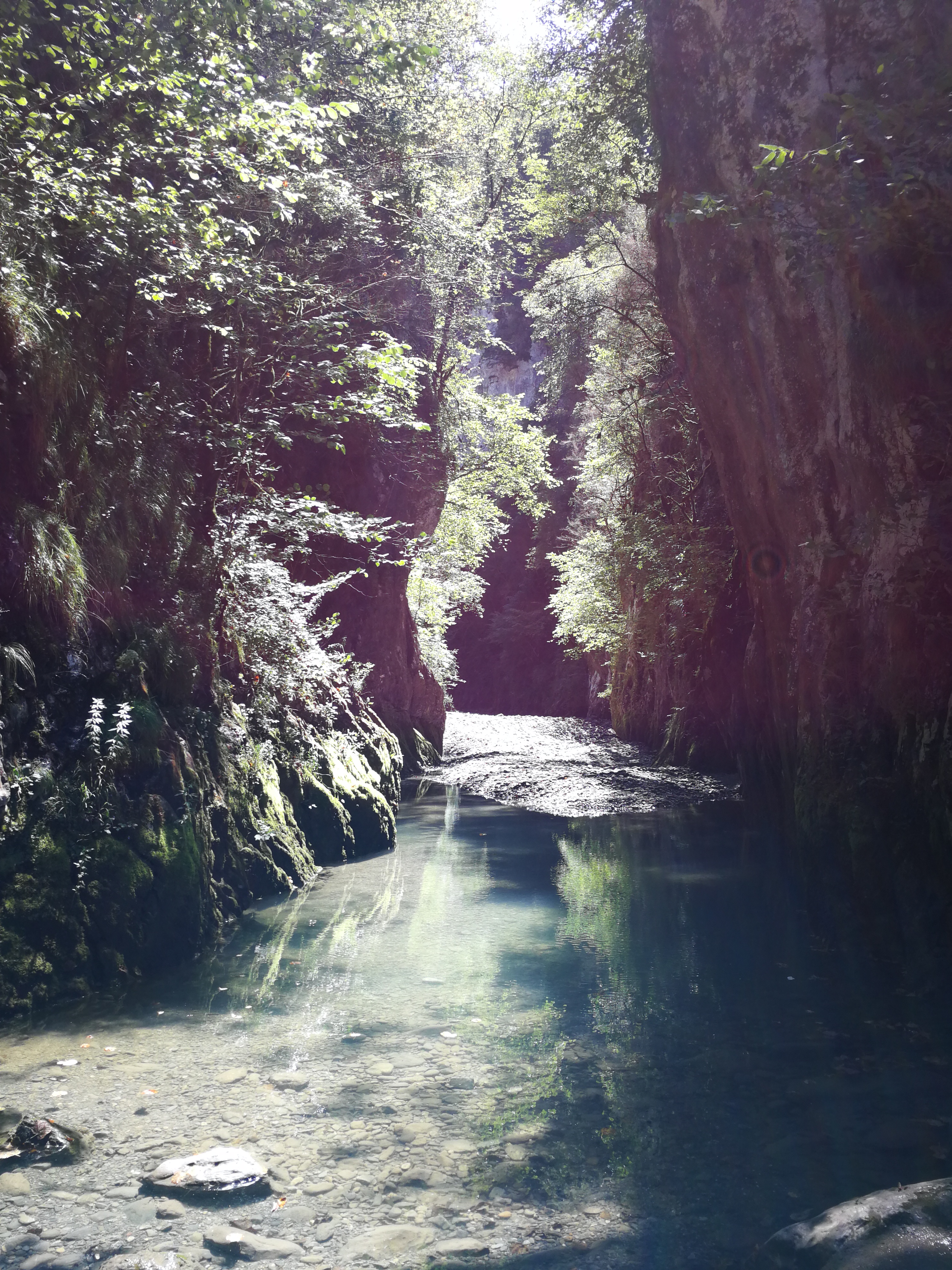 Photo n° 11 de l'avis de Augustin.A fait le 15/08/2019 à 20:07
