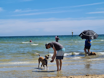 Mentone Dog Beach