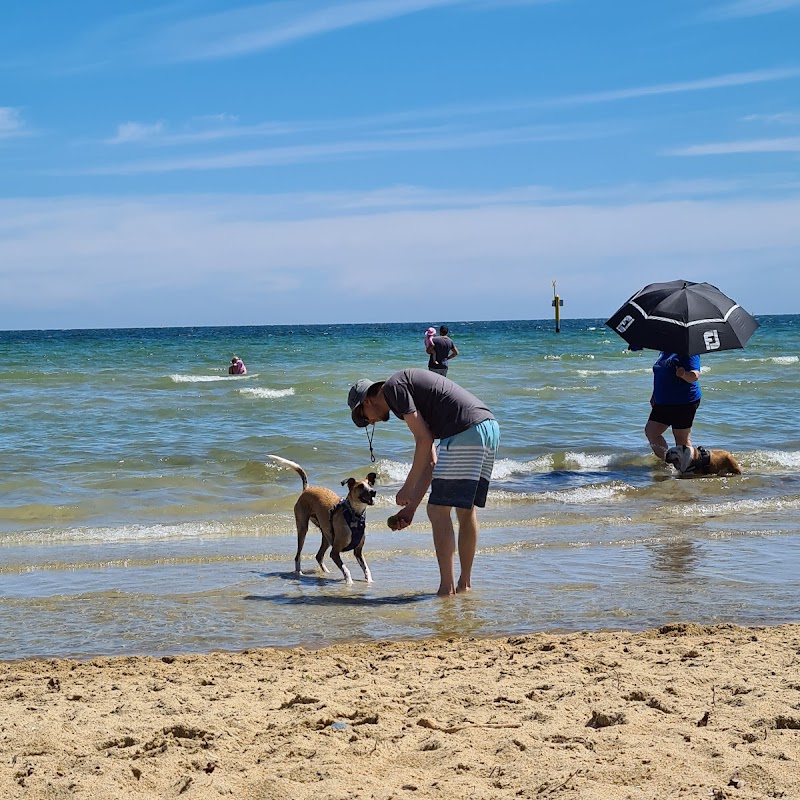 Mentone Dog Beach