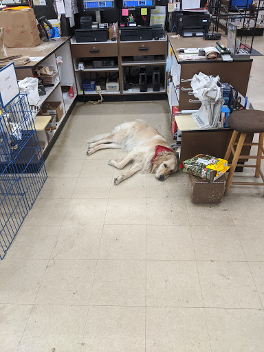 Hardware Store «Lake Shore True Value», reviews and photos, 7120 W 133rd Ave, Cedar Lake, IN 46303, USA