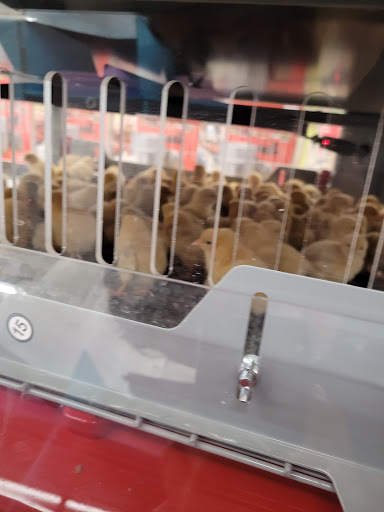 Home Improvement Store «Tractor Supply Co.», reviews and photos, 23741 US-59 #41, Porter, TX 77365, USA