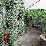 Photo n°27 de l'avis de Luigi.r fait le 24/06/2021 à 14:09 sur le  La Locanda dell'Orsiera à Bussoleno