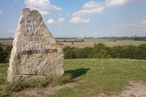 Michaelsberg im Maudacher Bruch (Monte Scherbelino) image