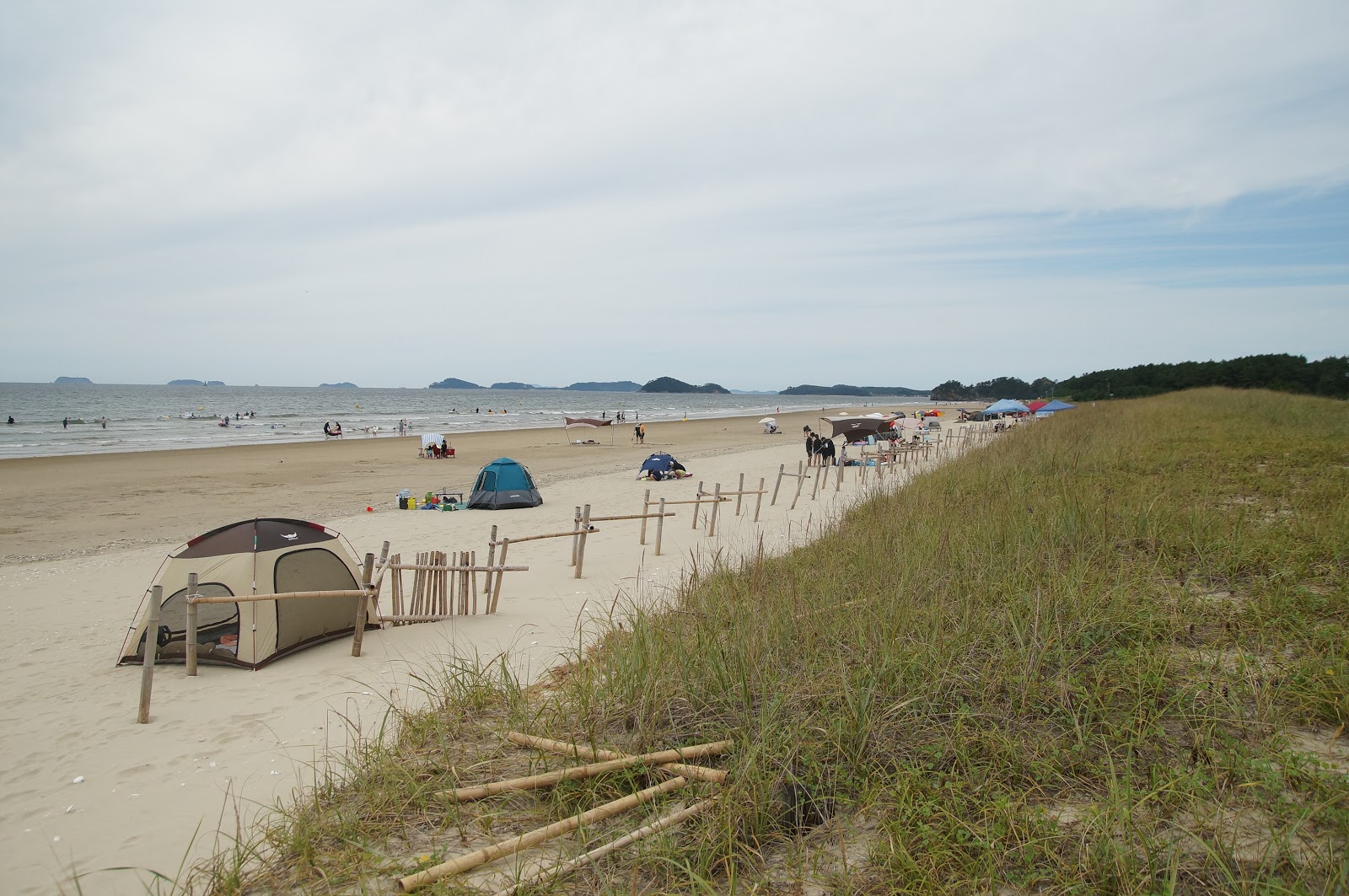 Photo de Taean Beach - endroit populaire parmi les connaisseurs de la détente