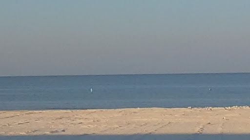 Boat Tour Agency «Dolphin Snorkeling Cruise», reviews and photos, 4630 29th Ave S, Gulfport, FL 33711, USA