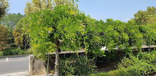 Photo n°32 de Quai n°5 à Luzech ()