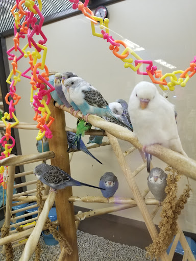 Pet Supply Store «Petco Animal Supplies», reviews and photos, 860 Broadway, New York, NY 10003, USA