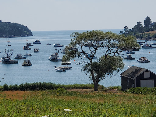 Nature Preserve «Johnson Field Preserve at Mackerel Cove», reviews and photos, 25 Abner Point Rd, Bailey Island, ME 04003, USA