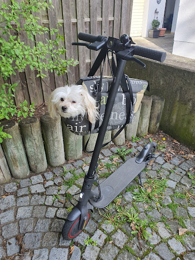 Brigitte Roscher-Ferstl Tierärztin unter Schwandorf, Bayern